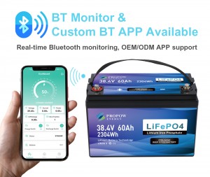 BT-monitor (1)